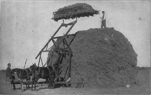 A Combined Sweep Rake and Stacker