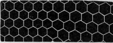 Arrangement of Cells in Comb