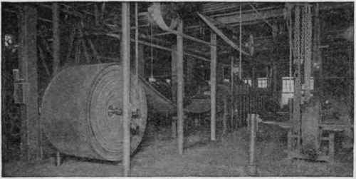 Belt Press and Roll of Conveyor Belt