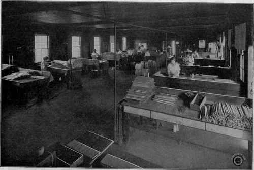 Interior of Roman Candle Shop
