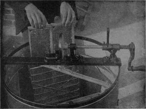 Loading an Up to Date Centrifugal Extractor