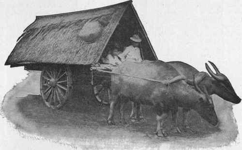 Philippine Hemp Cart