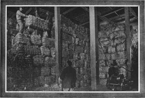 Stacking Bales of Manila Fiber with Portable Compressed Air Engine