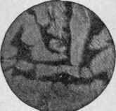 The First Government Contract 81