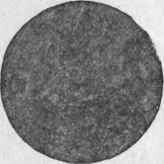 The First Government Contract 82