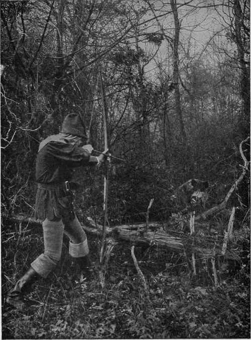 The  Long Bow  in Sherwood Forest One of Robin Hood's famous band encounters a savage tusker at close range.