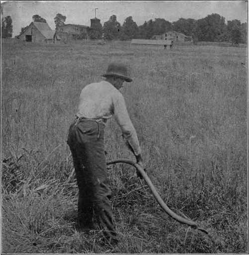 The Scythe is a Development of the Reaping Hook The blade was made larger and the handle longer so two hands could be used.