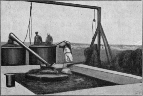 Fig. 194.   Perfumery and Essential Oil Record, 1916.