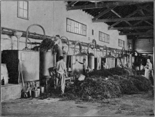 Fig. 198.   Tombarel Freres, Grasse.