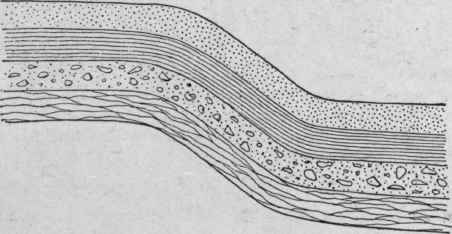 Diagram of monoclinal fold.