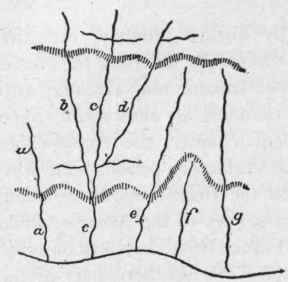 Evolution of a river system, first stage. The shaded lines represent escarpments of hard rock.