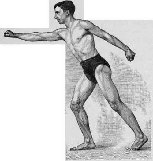 Figure 5, b. (See description, page 61.)