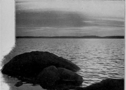 Simmer Twilight Ox The Oeresund